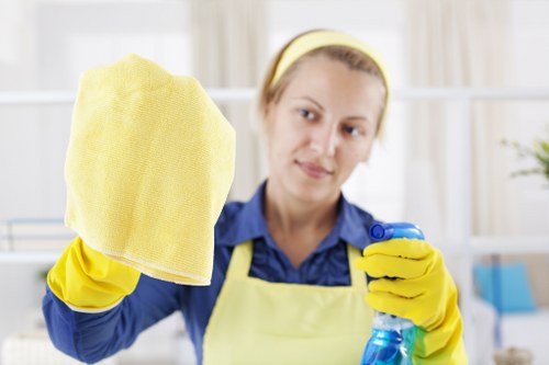 Move in cleaning of a bright empty living room before unpacking