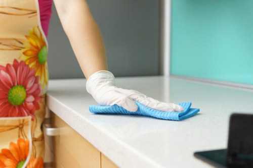 Kitchen deep cleaning with detailed surface care