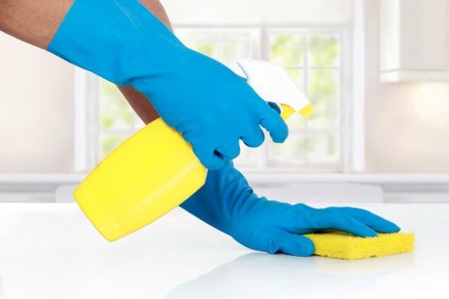 Eco-friendly carpet cleaning for a fresh indoor space