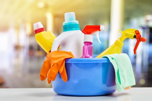 Professional window cleaning for a bright and clear home exterior