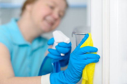 Professional Harrow cleaners maintaining a spotless home interior