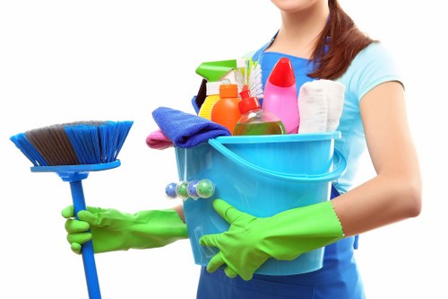 Domestic cleaning routine in a bright living room