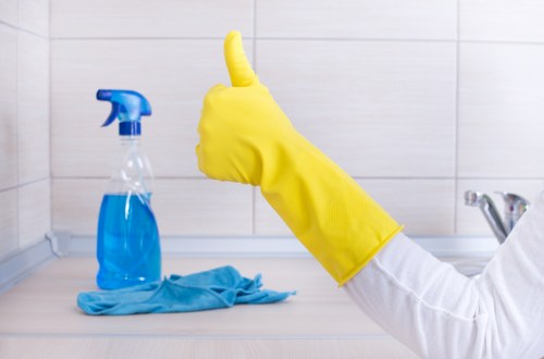 Kitchen domestic cleaning with organized surfaces