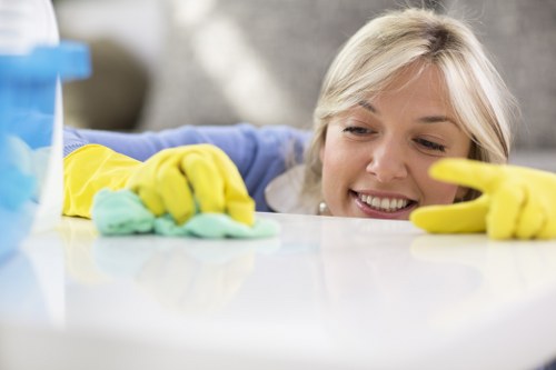 Cleaners in Harrow performing detailed cleaning in a living space
