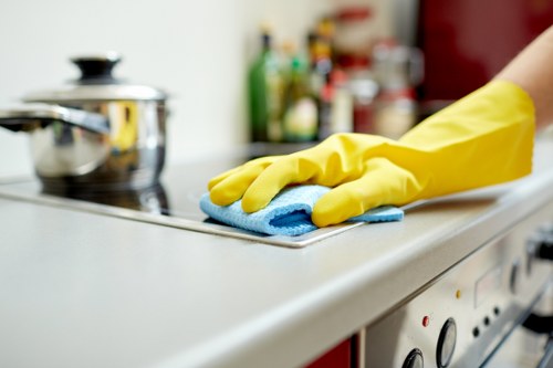 Specialized rug washing and stain removal equipment
