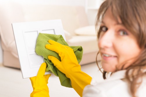 Household regular cleaning in kitchen and living areas
