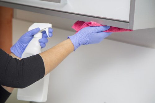 Bathroom domestic cleaning and sanitizing tasks