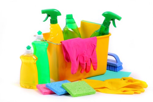 Living room deep cleaning with dusting and upholstery care